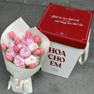 Cẩm tú cầu bó nhỏ