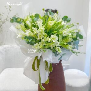 Hoa Ly tuyết trắng