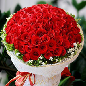 Giấc mơ dịu dàng