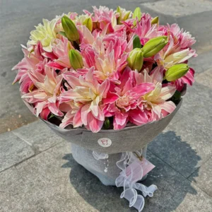 Hoa ly (hoa lily) – nét đẹp thanh cao và ý nghĩa trong cuộc sống