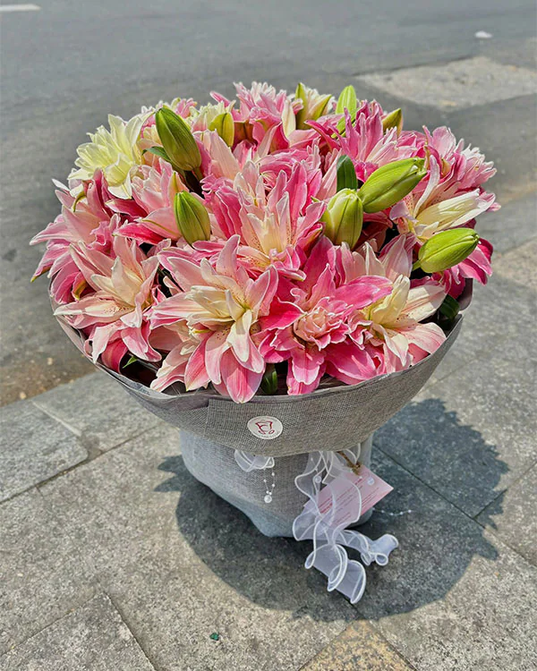 Hoa ly (hoa lily) – nét đẹp thanh cao và ý nghĩa trong cuộc sống